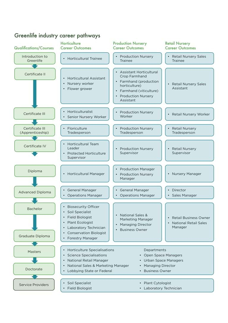 Career Pathways