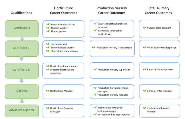 Career Pathways