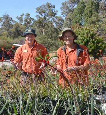 "Creating a positive mental health environment in our workplace is more important than ever. We love being a part of the Spring Blueming event as it is a great way to say thank you to our team, and also to raise funds to support Beyond Blue and their work helping to deal with anxiety and depression in the community." Ross Hooper, Zanthorrea Nursery, Western Australia.